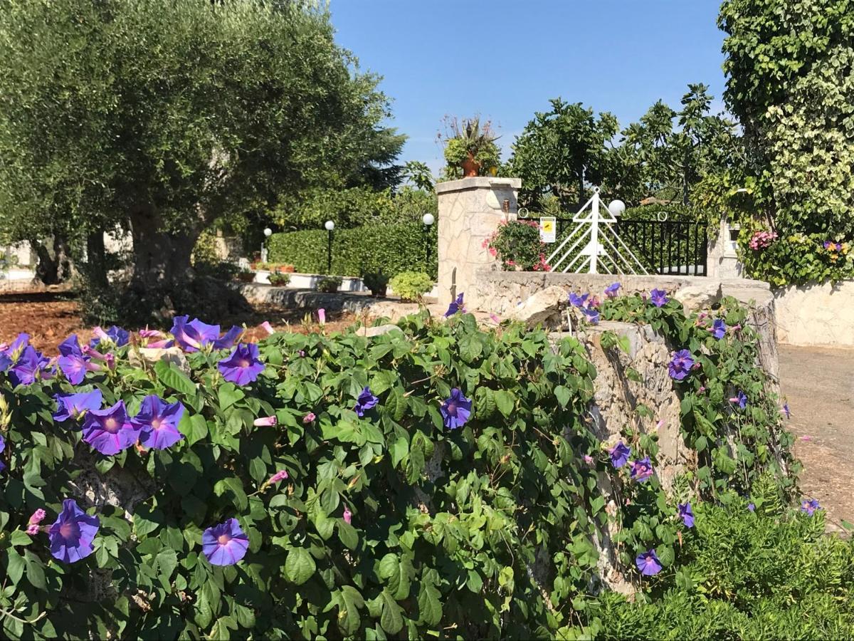 Il Trullo Di Nonno Angelo San Marco Otel Locorotondo Dış mekan fotoğraf