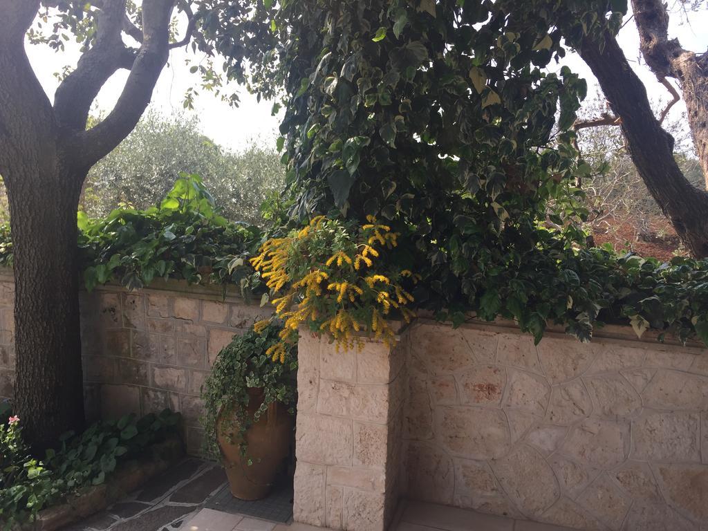 Il Trullo Di Nonno Angelo San Marco Otel Locorotondo Dış mekan fotoğraf