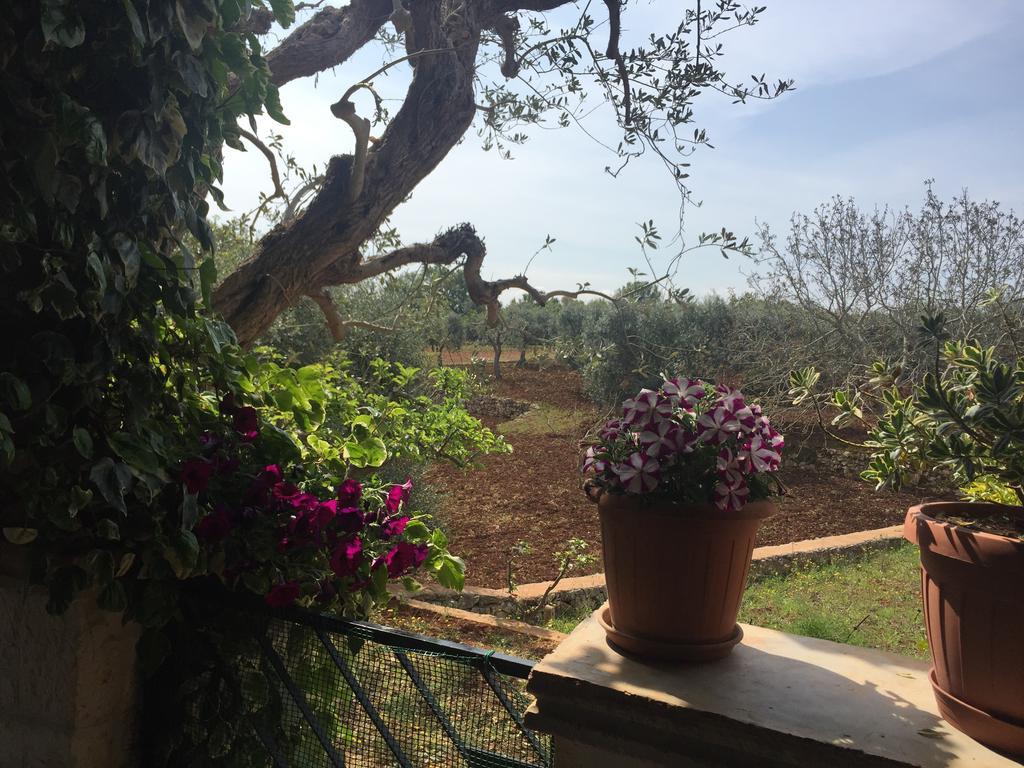 Il Trullo Di Nonno Angelo San Marco Otel Locorotondo Dış mekan fotoğraf