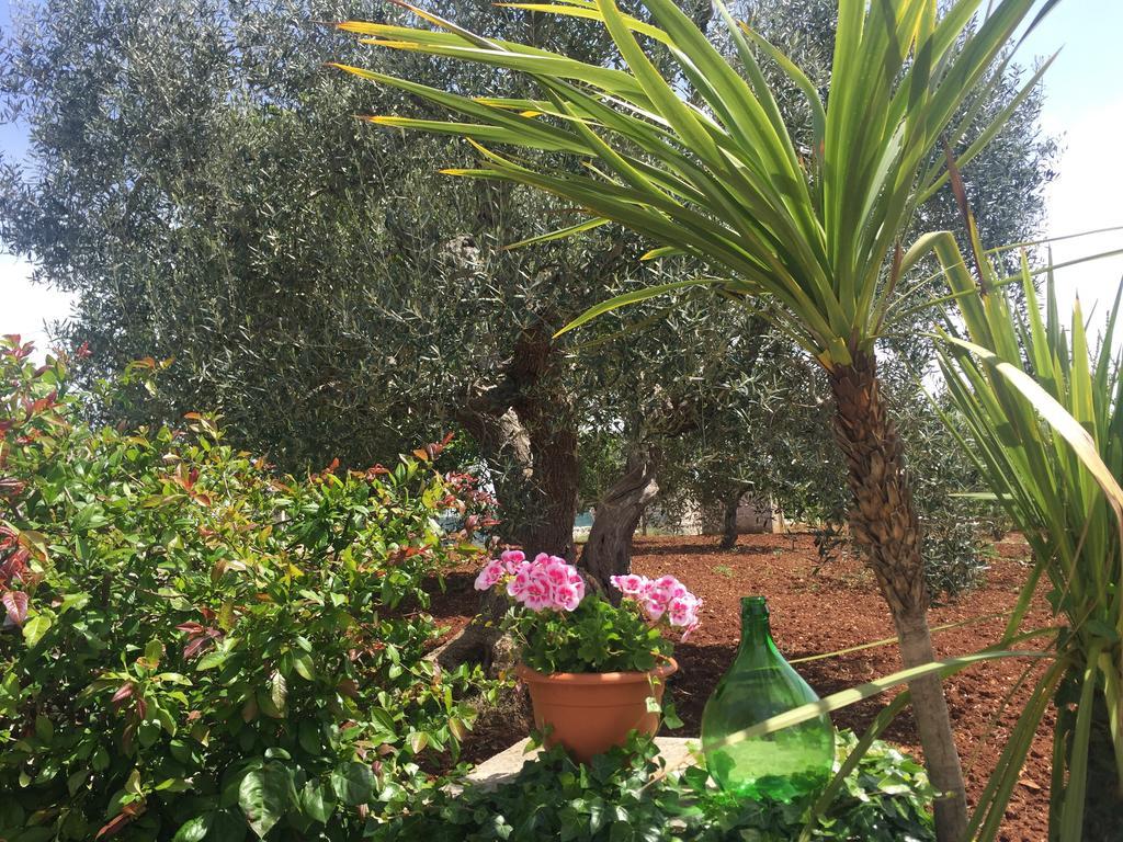 Il Trullo Di Nonno Angelo San Marco Otel Locorotondo Dış mekan fotoğraf